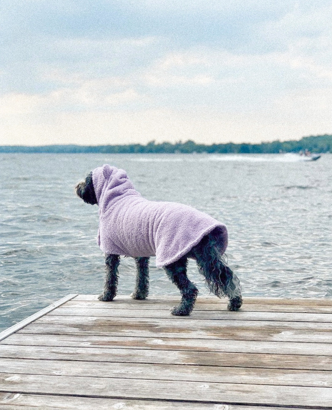 Dog drying 2025 coat with legs