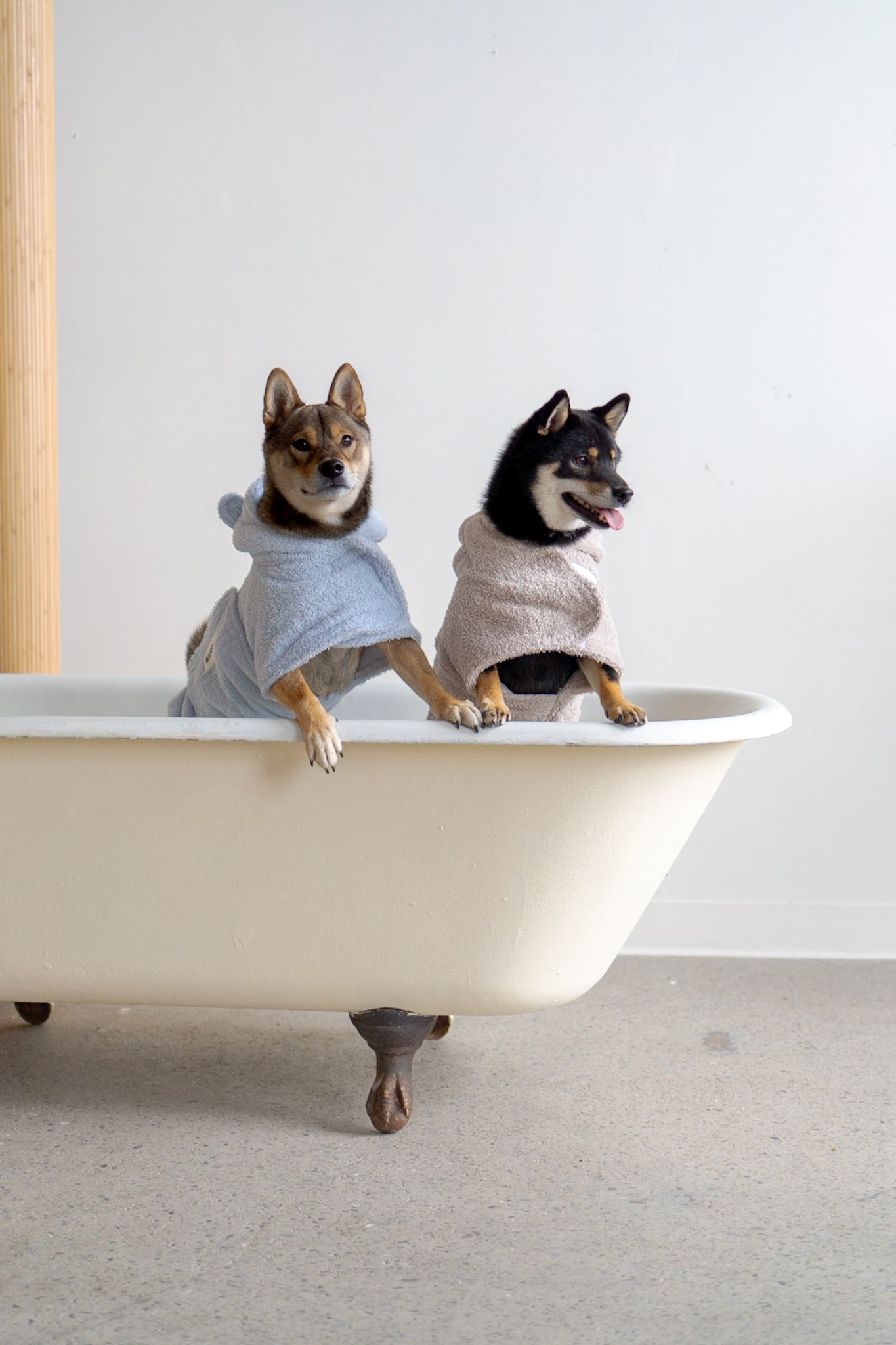 Dog drying outlet robes