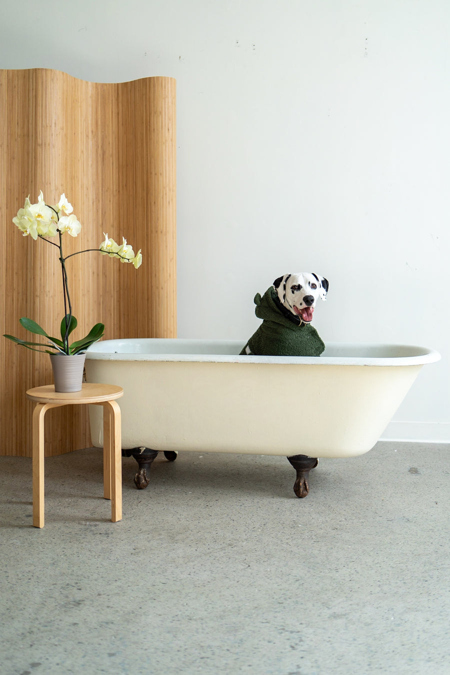 Dog Drying Bathrobe // Moss