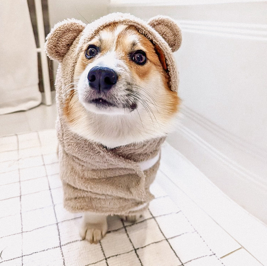 Dog Drying Bathrobe // Teddy