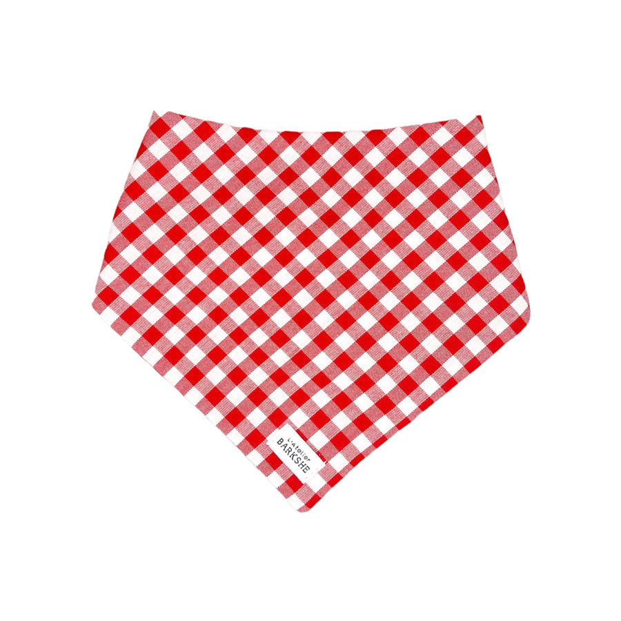 Red Gingham Bandana